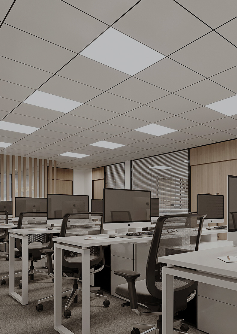 DDpay钱包(China)官网